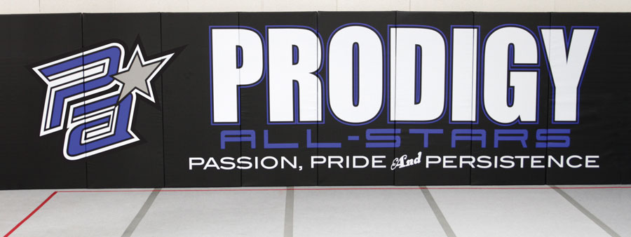 prodigy all-stars cheer gym wall padding