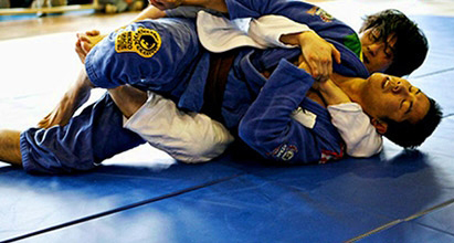 martial arts mma stunt mats